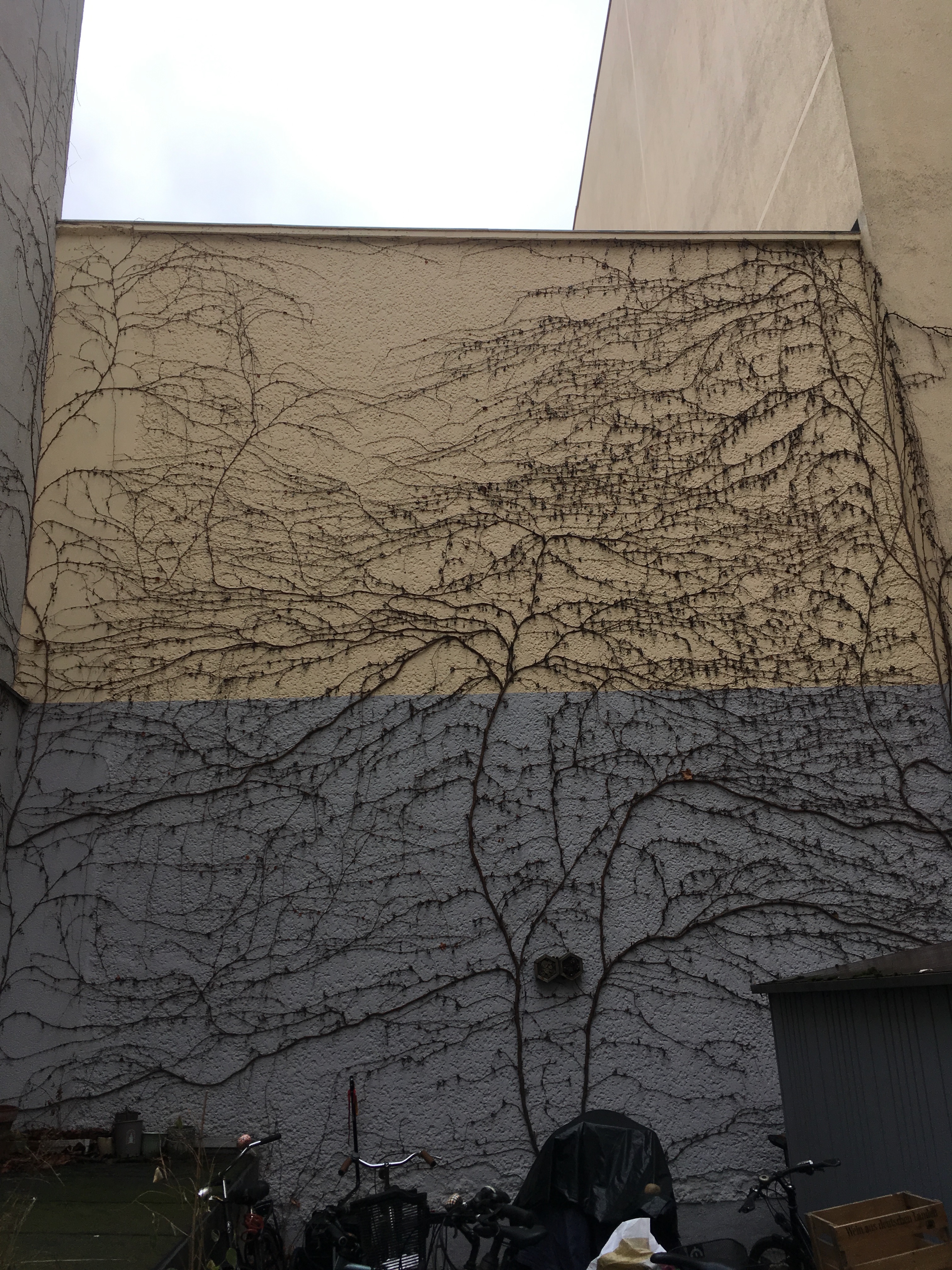 Traces 2